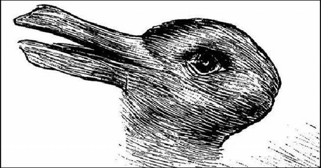  اول اردک را میبینی یا خرگوش را ؟ 